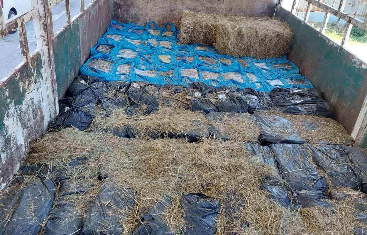 Akcija hapšenja 5.jpg