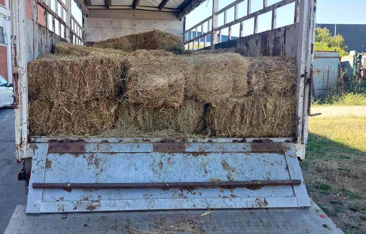 Akcija hapšenja 7.jpg