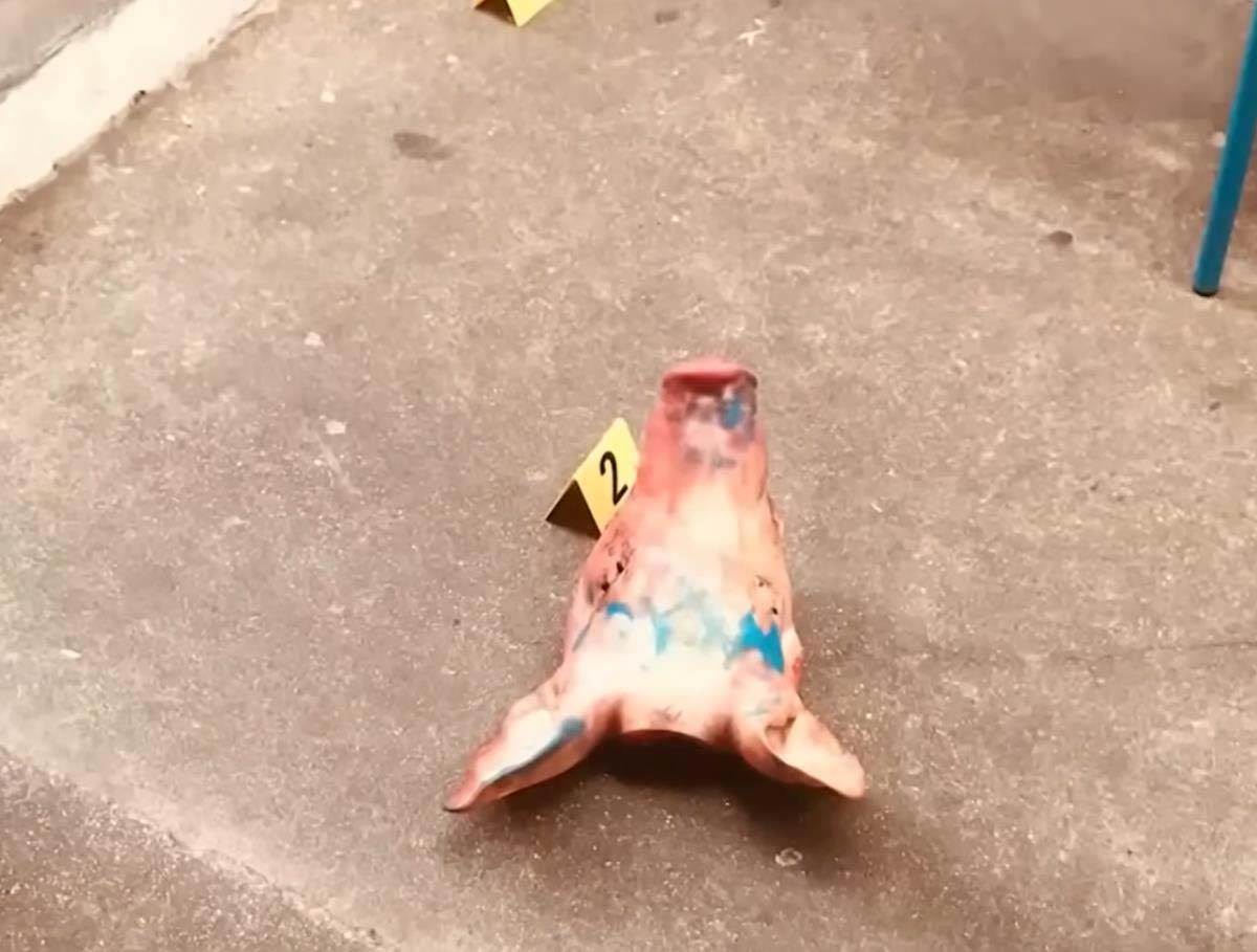 Uhapšen Srbin u Parizu 1.jpg