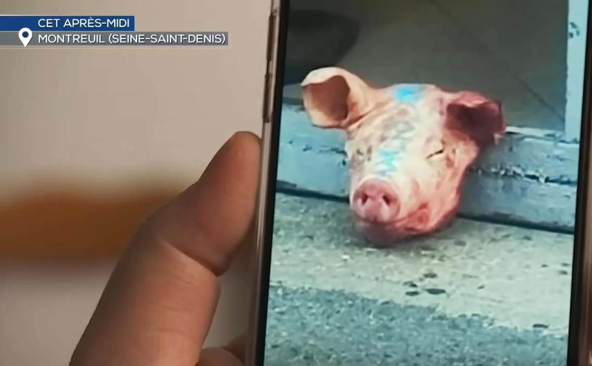 Uhapšen Srbin u Parizu 3.jpg