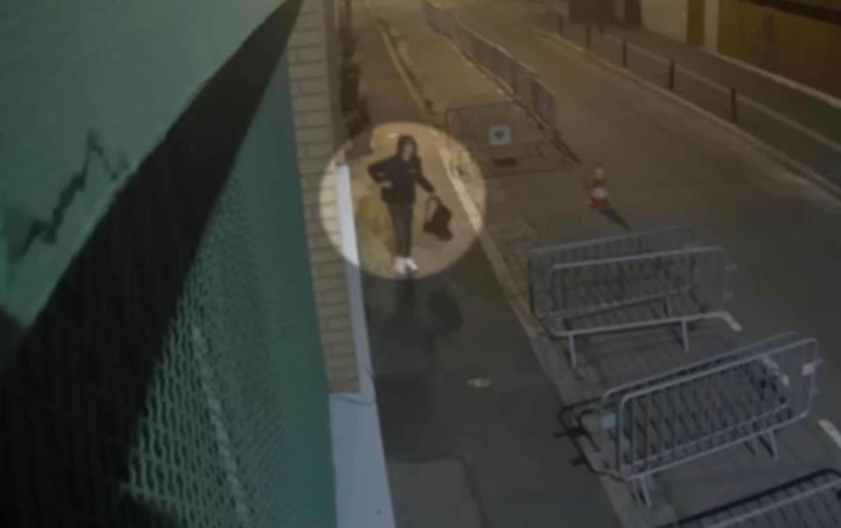 Uhapšen Srbin u Parizu, Srbi, Pariz, svinjske glave, džamija