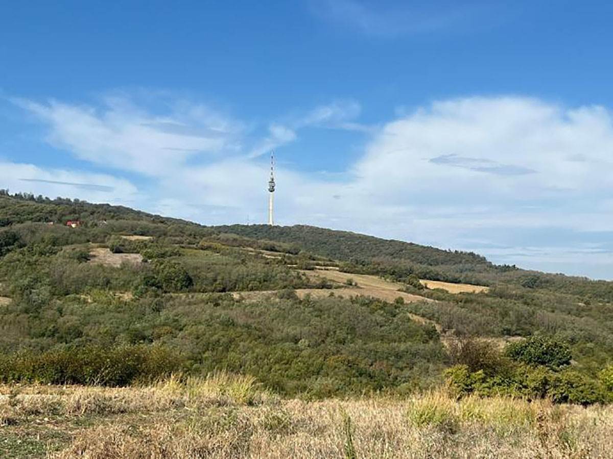 Cecina njiva u selu Zuci (2).jpg