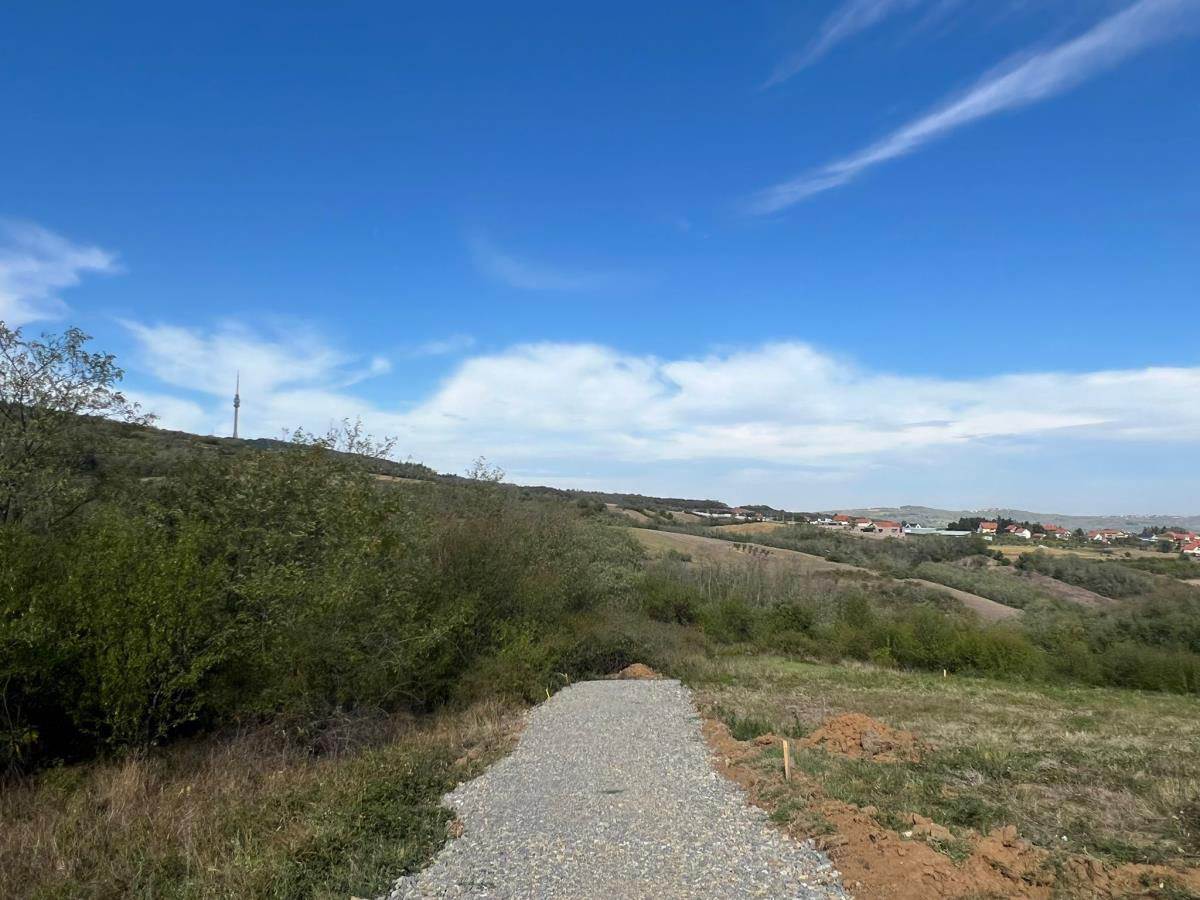 Cecina njiva u selu Zuci (5).jpg