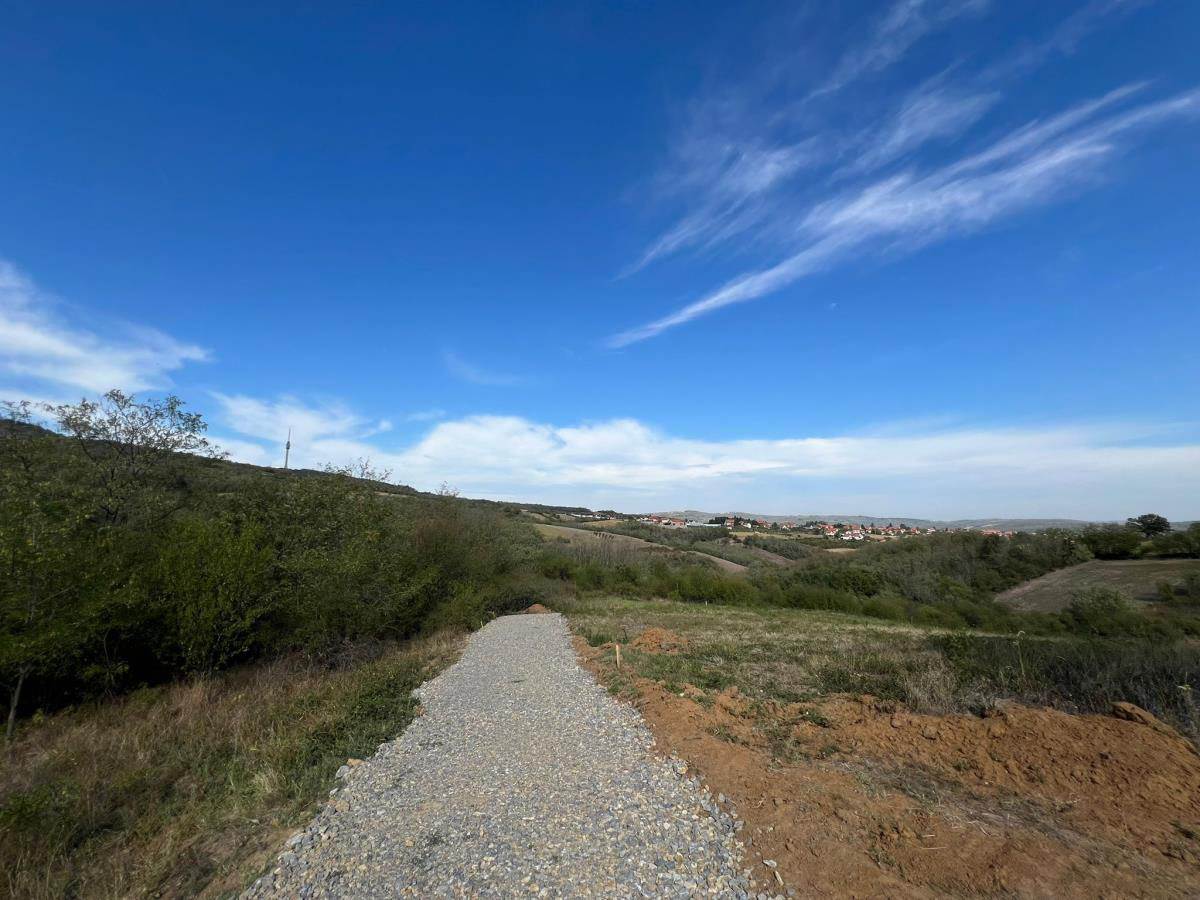 Cecina njiva u selu Zuci (6).jpg