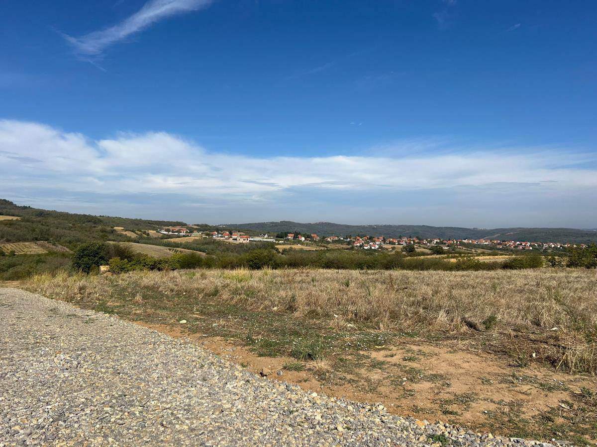 Cecina njiva u selu Zuci (7).jpg