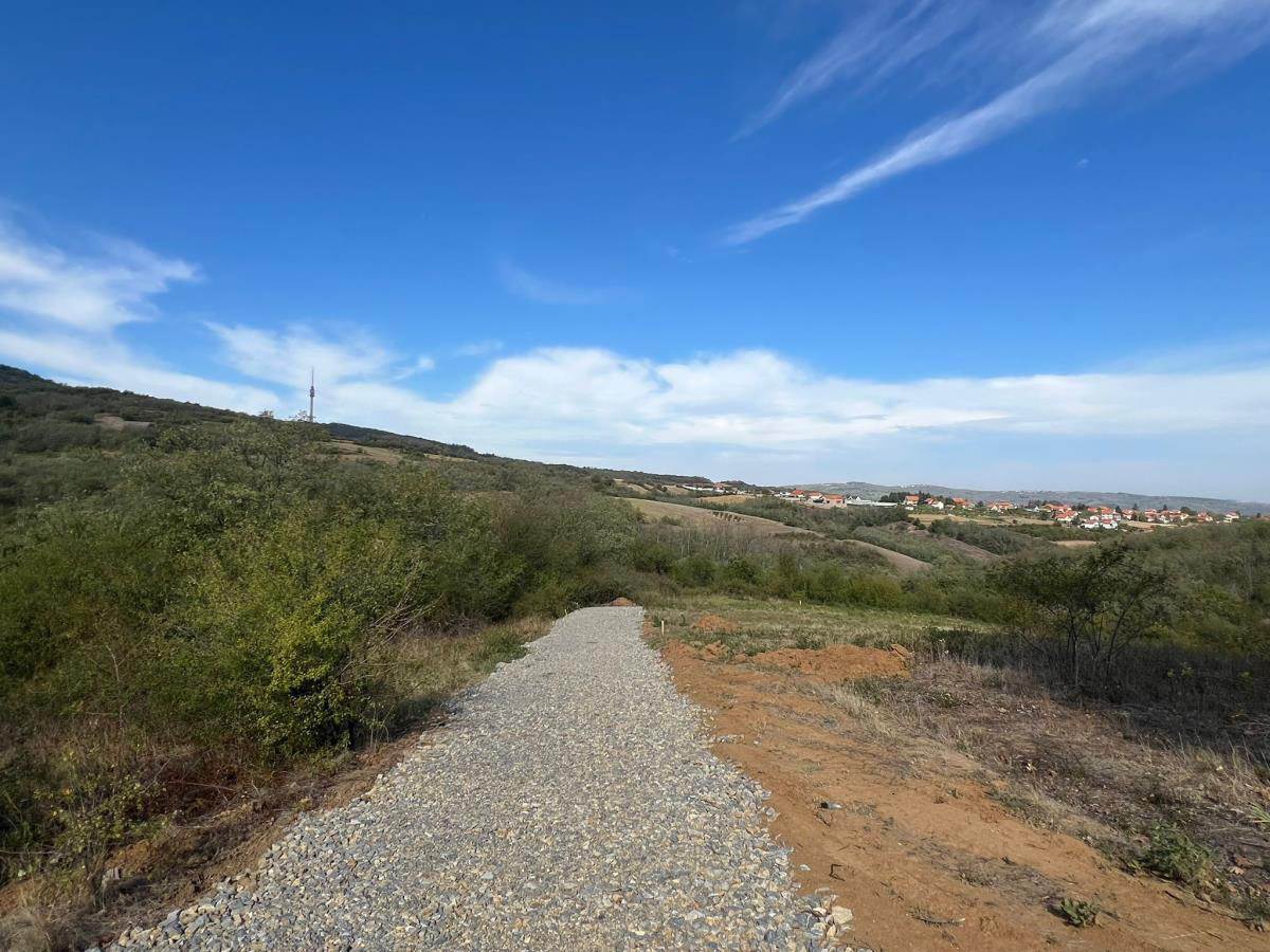 Cecina njiva u selu Zuci (8).jpg