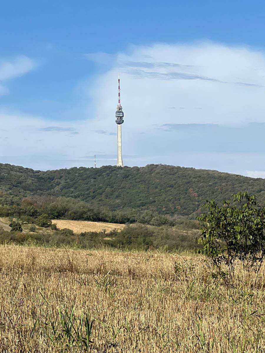 Cecina njiva u selu Zuci (9).jpg
