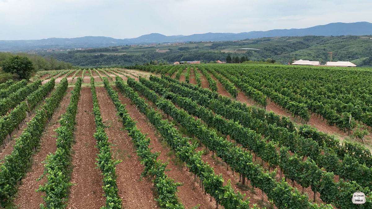 SA-ZIKOM-S3-EP3-06 copy.jpg