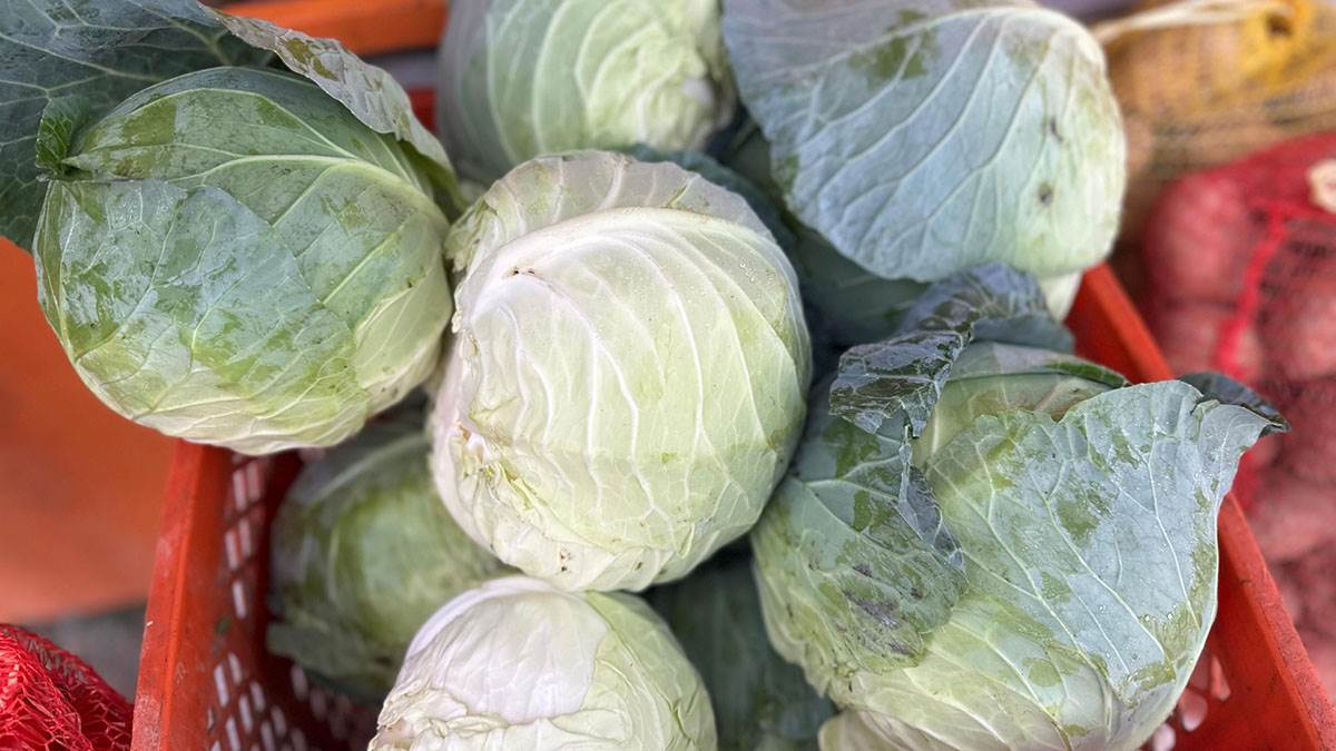 cene paprike i kupusa u Čačku (1).jpg