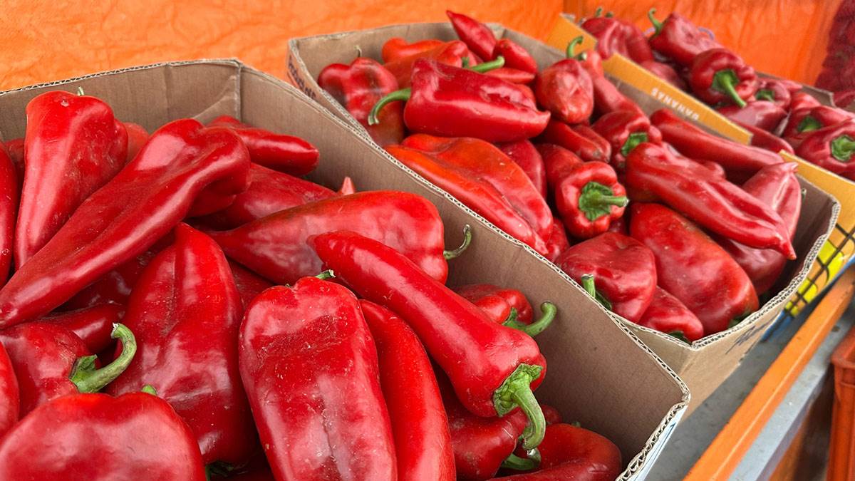 cene paprike i kupusa u Čačku (3).jpg