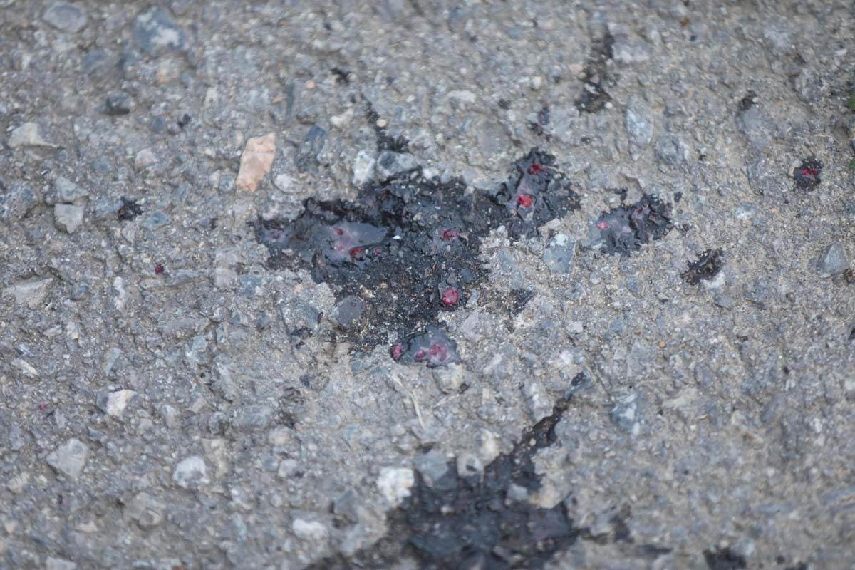 Tragovi krvi Pucnjava Višnjička Banja 2.jpg