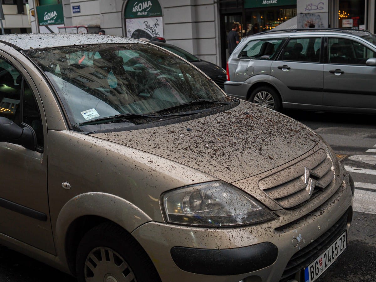 Oštećena zgrada u Kosovskoj (12).jpeg