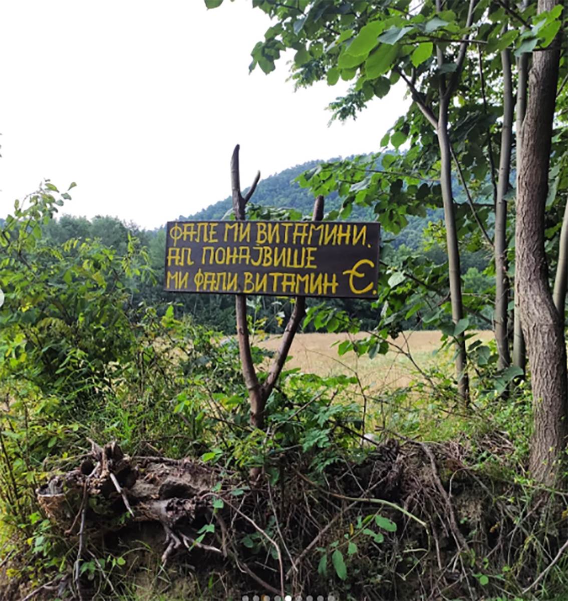 dragančetovo sokače 3 copy.jpg