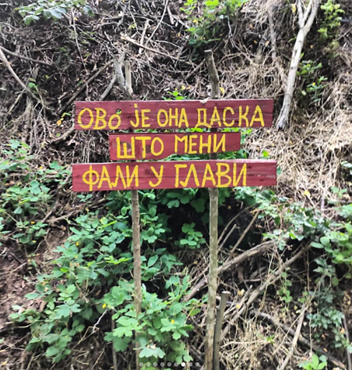 dragančetovo sokače 5 copy.jpg