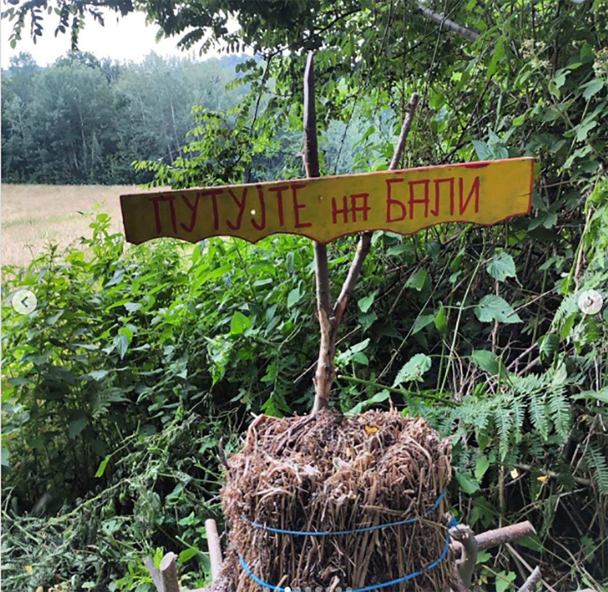 Dragančetovo sokače copy.jpg