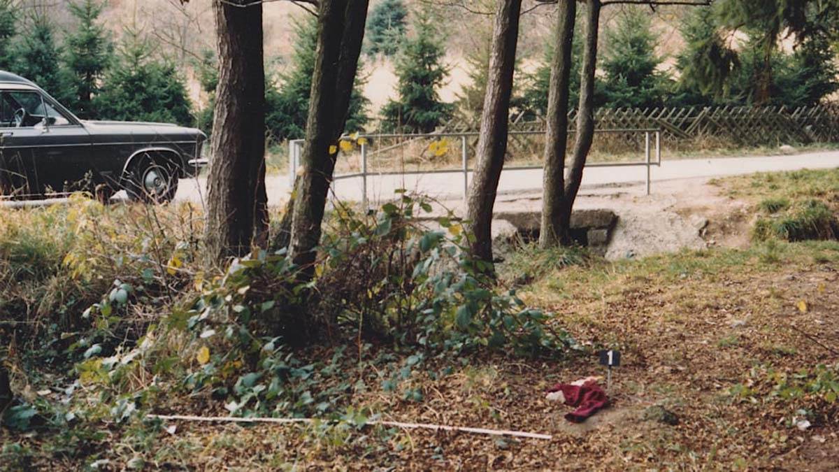 Zejnep Ubijena devojčica 2.jpg