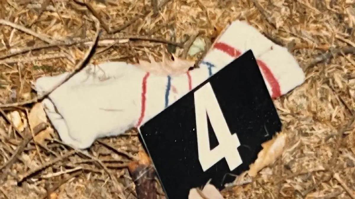 Zejnep Ubijena devojčica 5.jpg