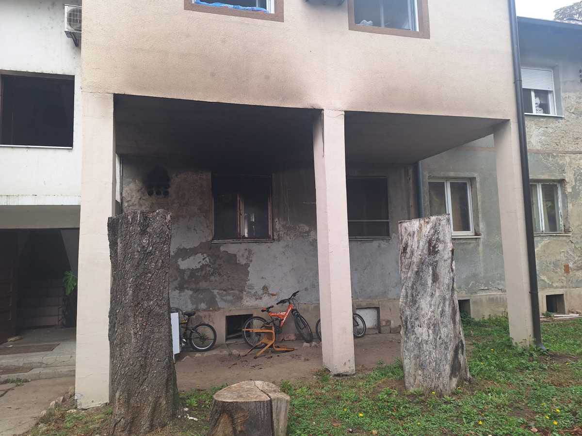 Požar u Batajnici (1).jpg