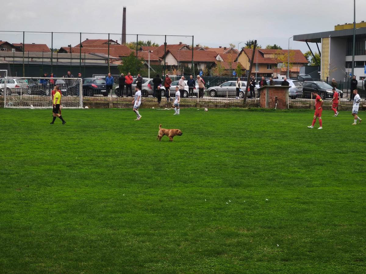 FK Lemind 1953 - Radnički (11).jpg