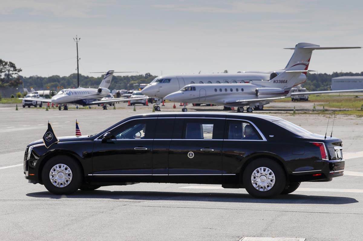 Zver The Beast 1.jpg