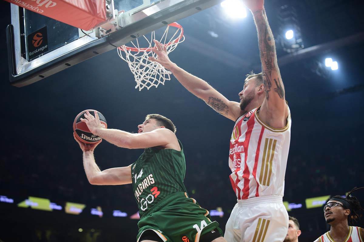 Crvena Zvezda - Žalgiris 3.jpg
