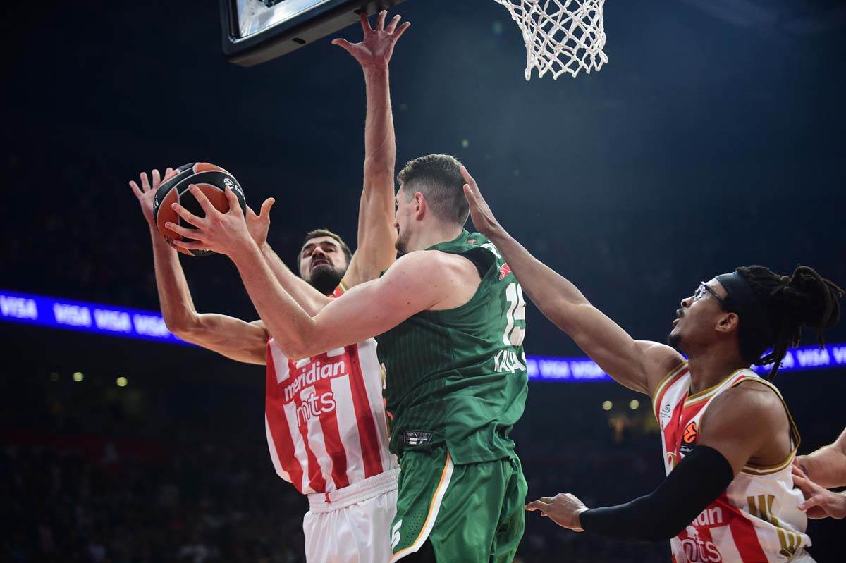 Crvena Zvezda - Žalgiris 5.jpg