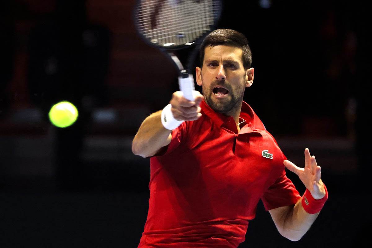 Novak Đoković - Janik Siner (2).jpg