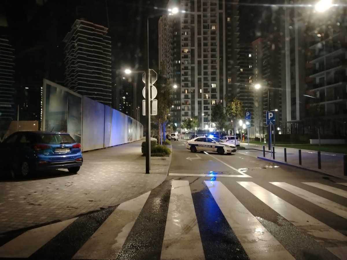 ubistvo na Beogradu na vodi (1).jpg