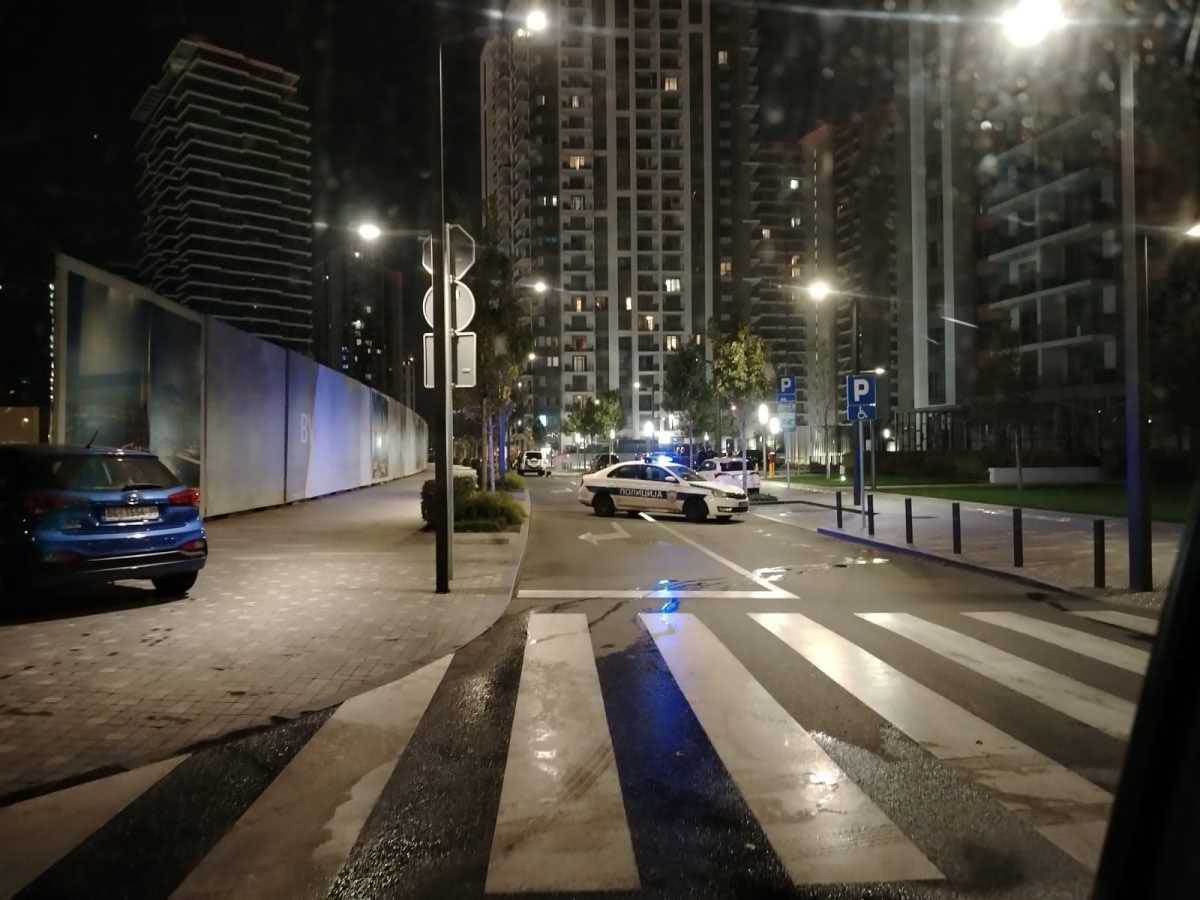 ubistvo na Beogradu na vodi (3).jpg