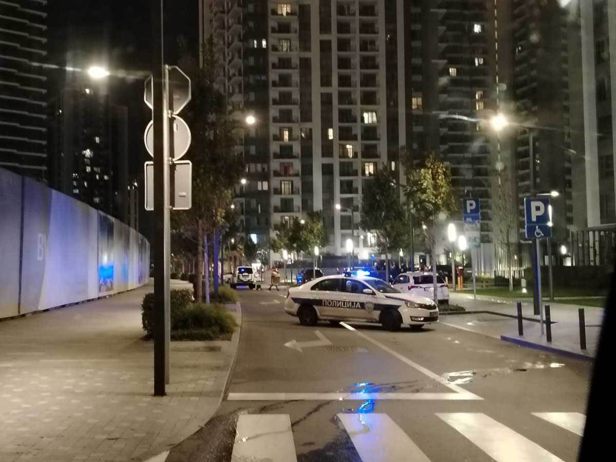 ubistvo na Beogradu na vodi (4).jpg