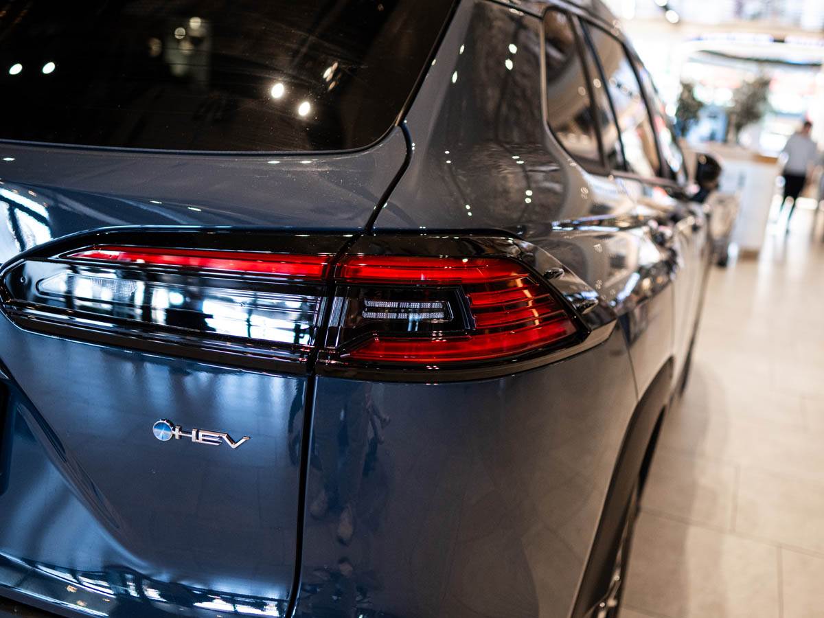 tpypta_corola_cross_stefan_stojanović_ (8).jpg