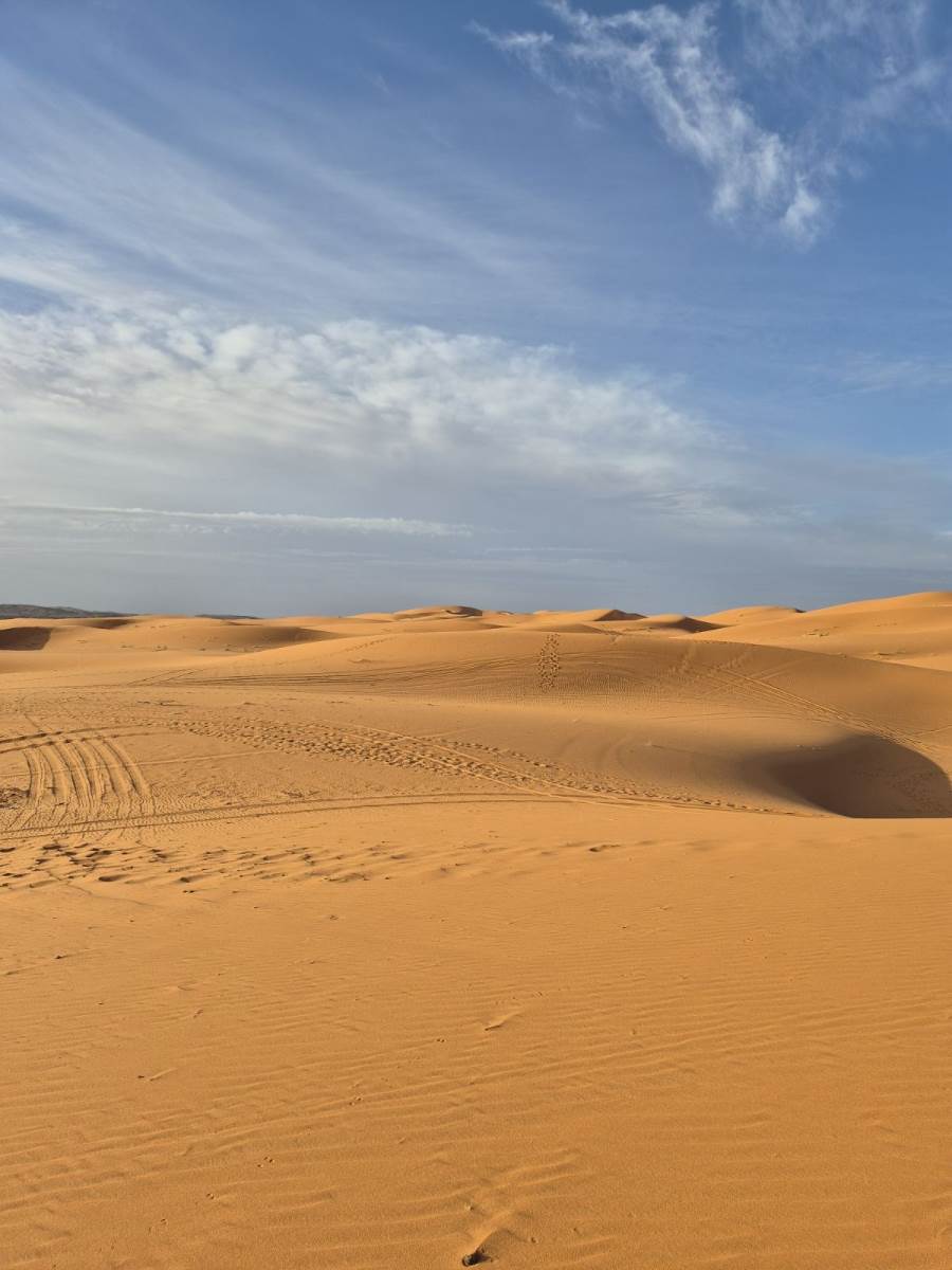 Zastava humanosti (10).jpeg