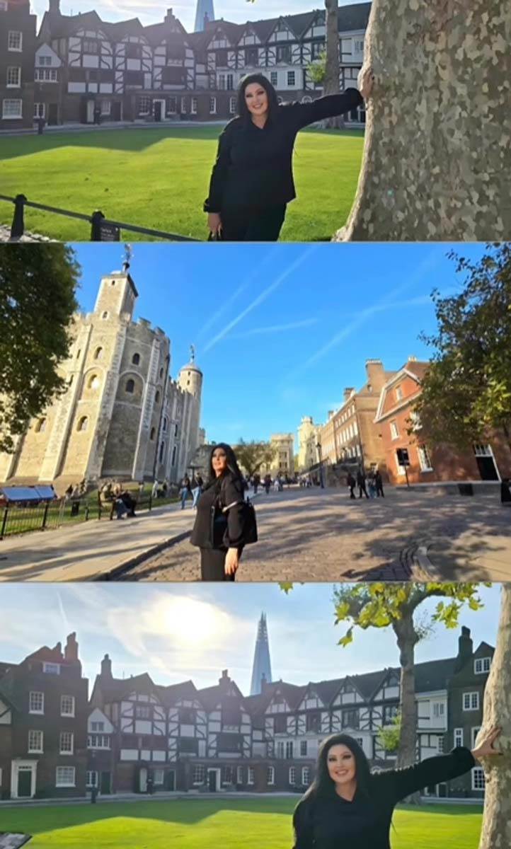 Dragana Mirković 10.jpg