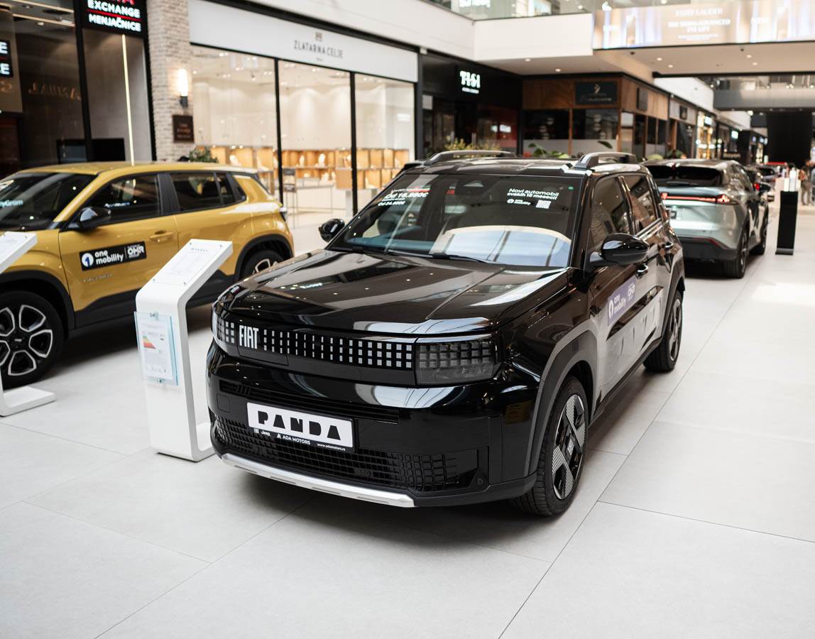 fiat_panda_e_stefan_stojanović_ (2).jpg