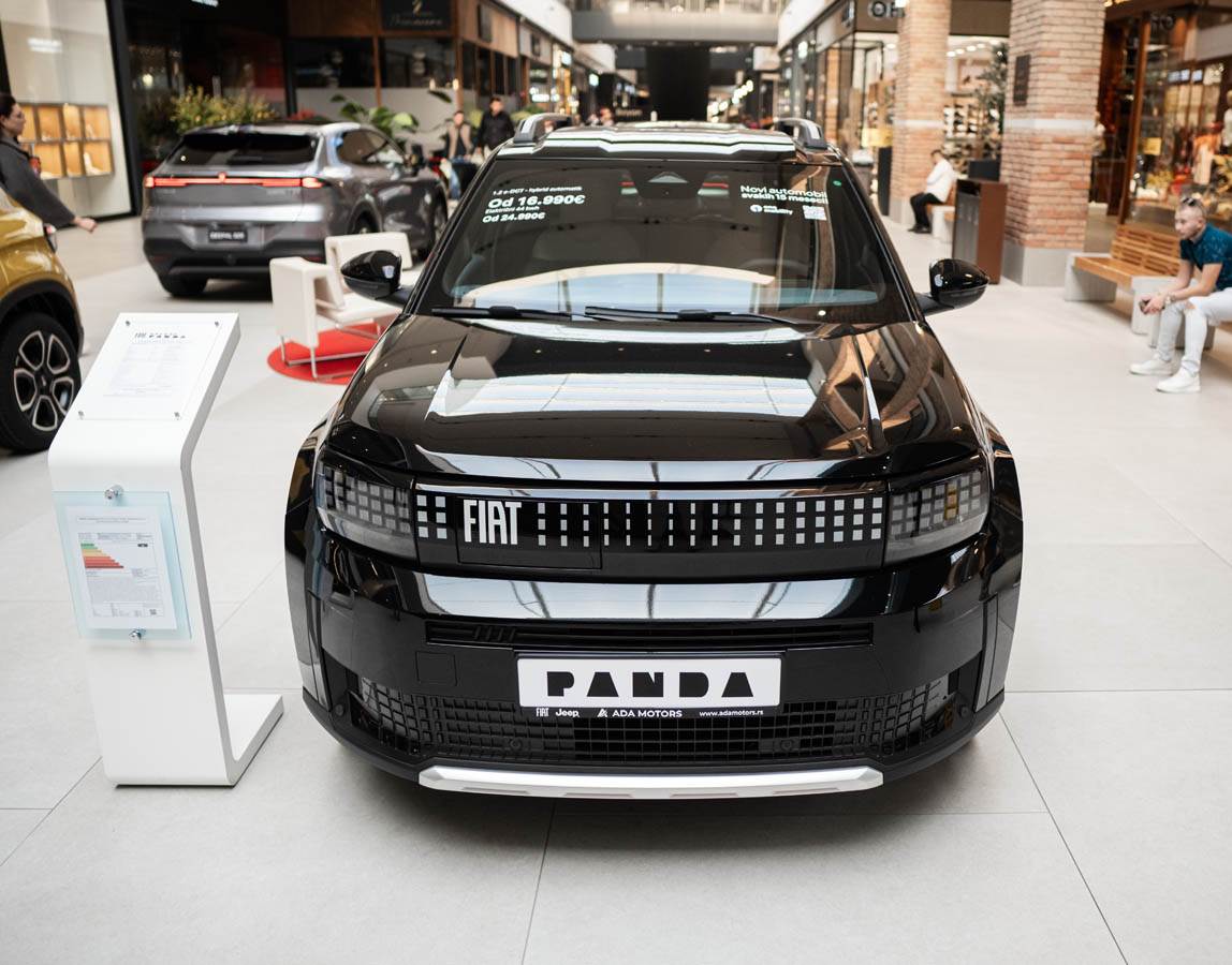 fiat_panda_e_stefan_stojanović_ (3).jpg