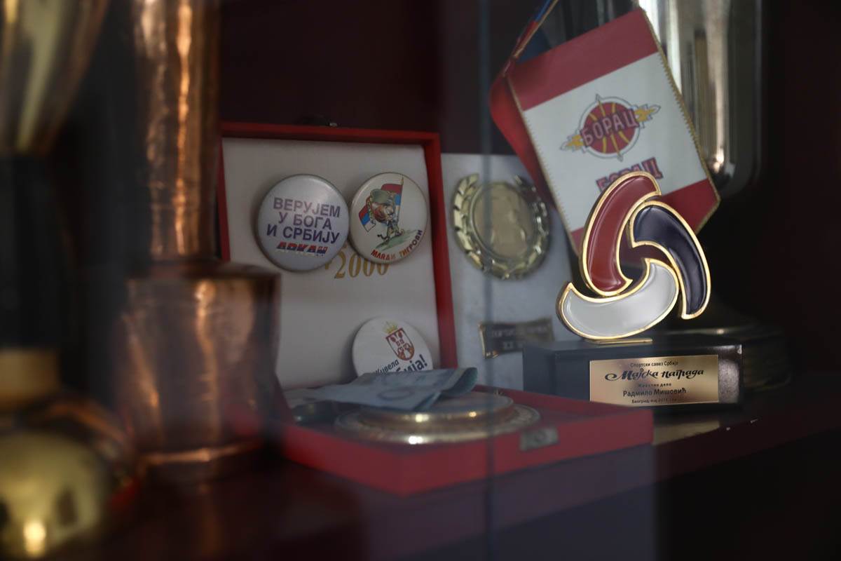 Trofeji i nagrade Radmila Mišovića