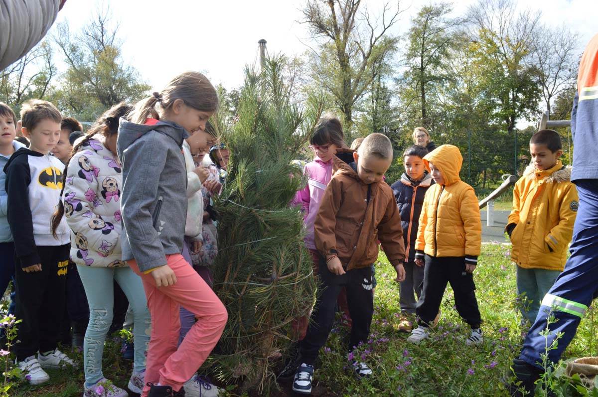 Kineska medijska grupa 7.jpg