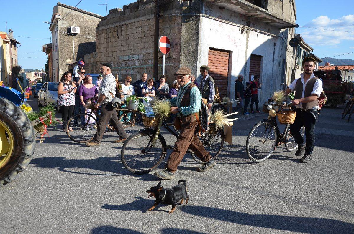 selo italija plava zona D.serra1.jpg