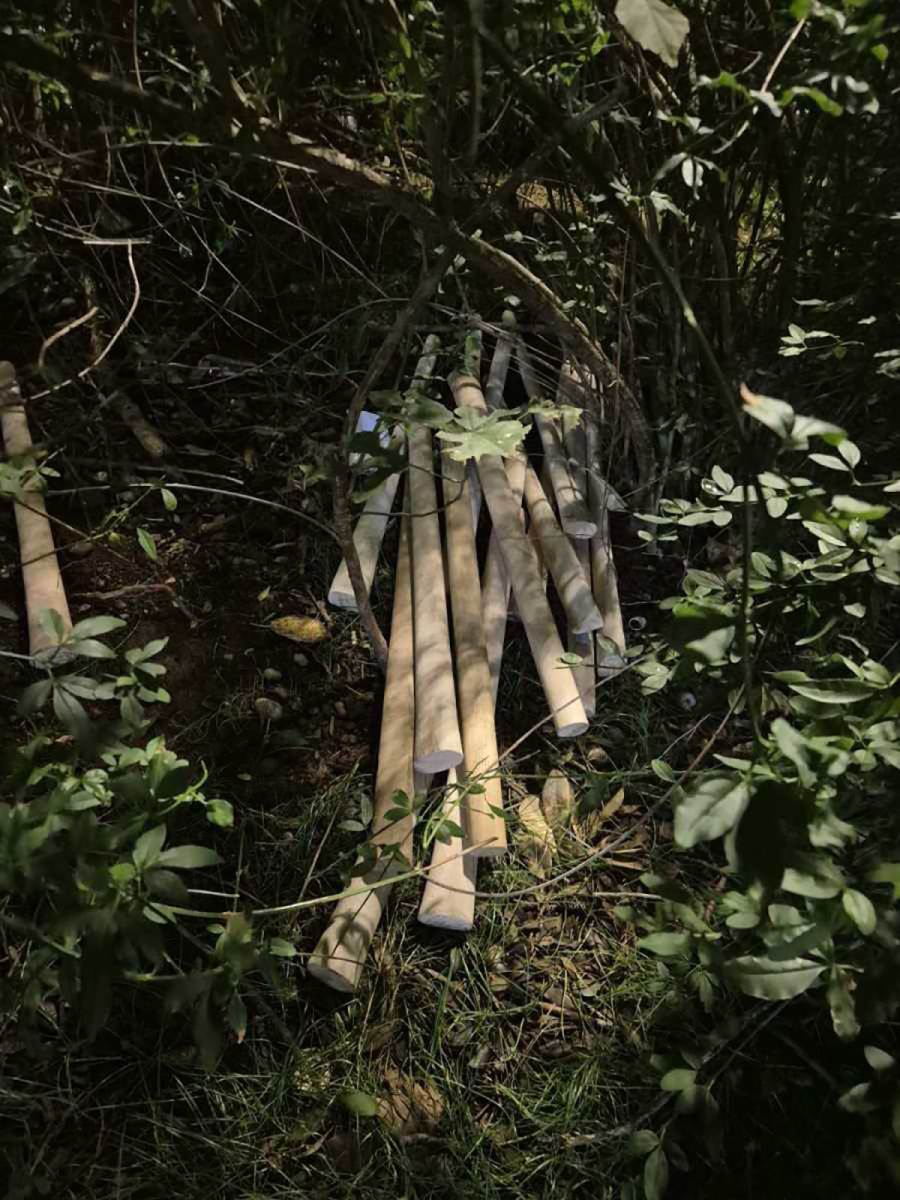 Pronađene bejzbol palice (3).jpg