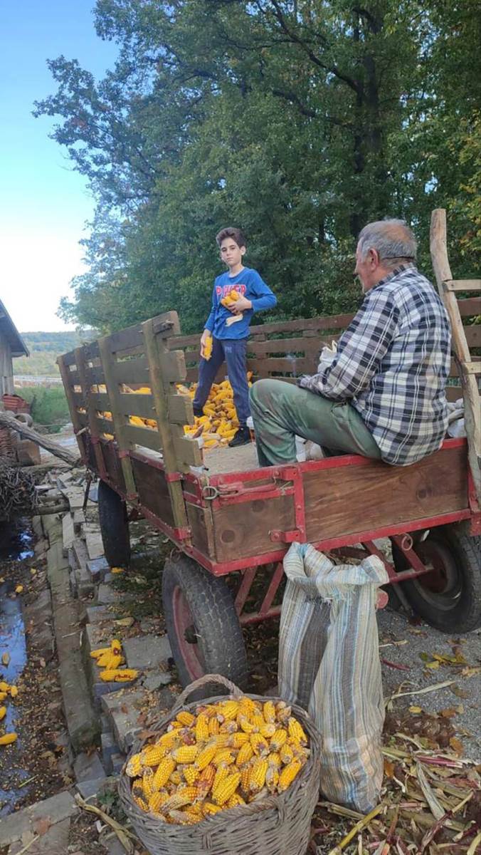 jelena ima farmu koza i pravi sir i mleko (2).jpg