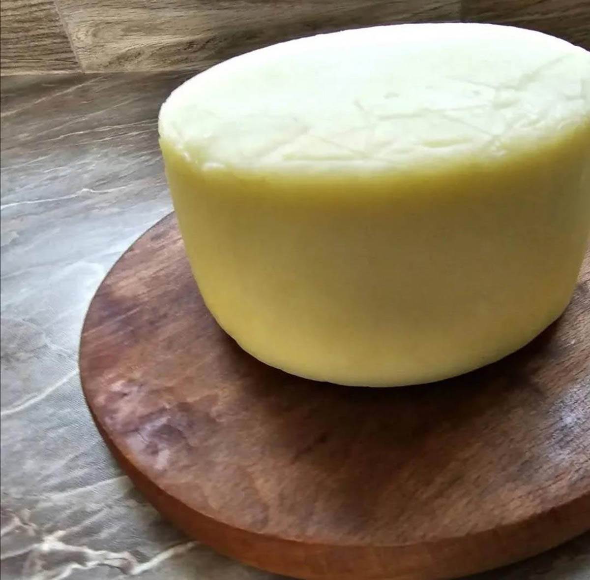 jelena ima farmu koza i pravi sir i mleko (4).jpg