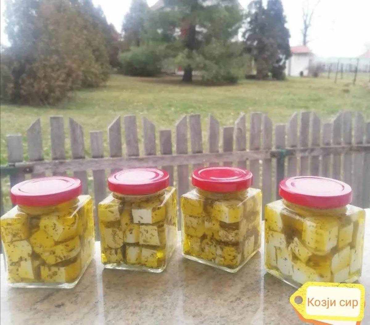 jelena ima farmu koza i pravi sir i mleko (6).jpg