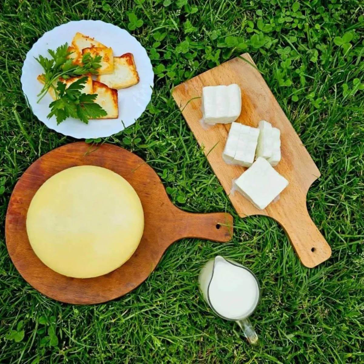 Jelena ima farmu koza i pravi sir i mleko (3).jpg