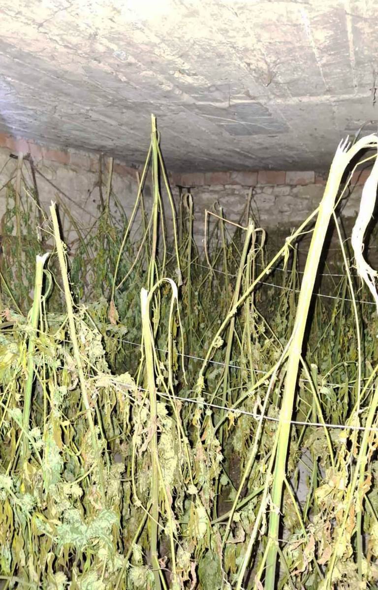 Zaplena droge (1).jpg