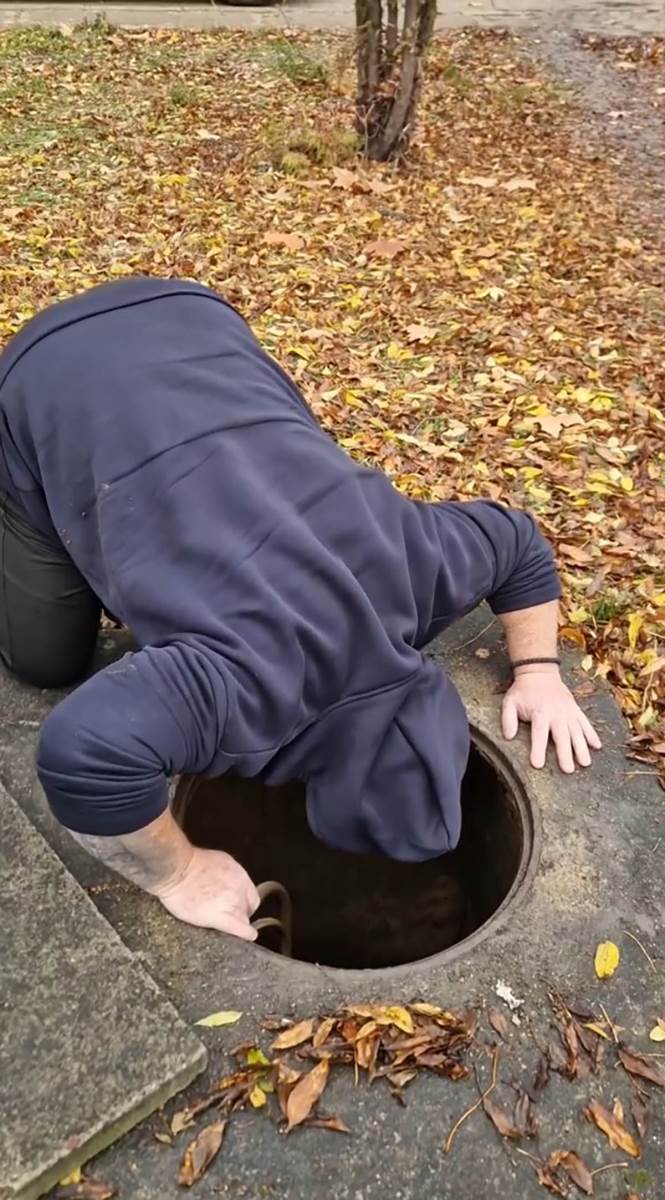 Zmijolovac Vladica Stanković vadi zmiju iz šahta u Vranju