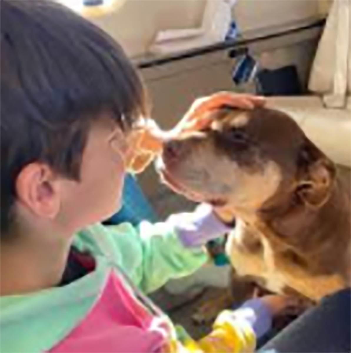 Tom Brejdi pas (6).jpg