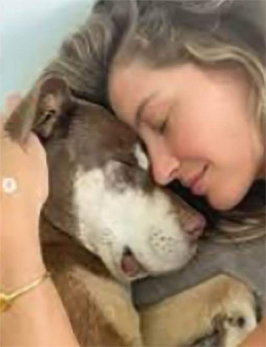 Tom Brejdi pas (8).jpg