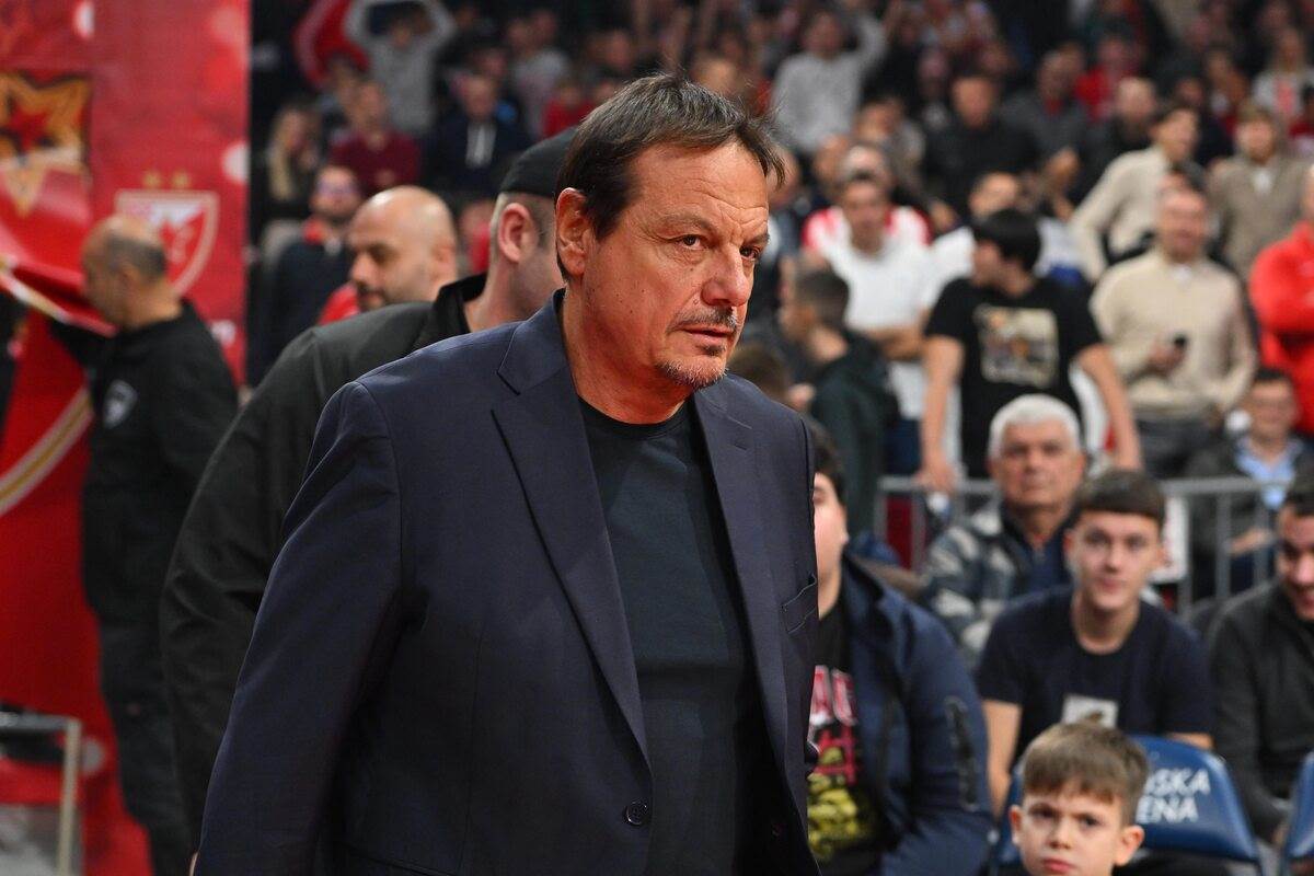 Crvena zvezda - Panatinaikos 10.JPG