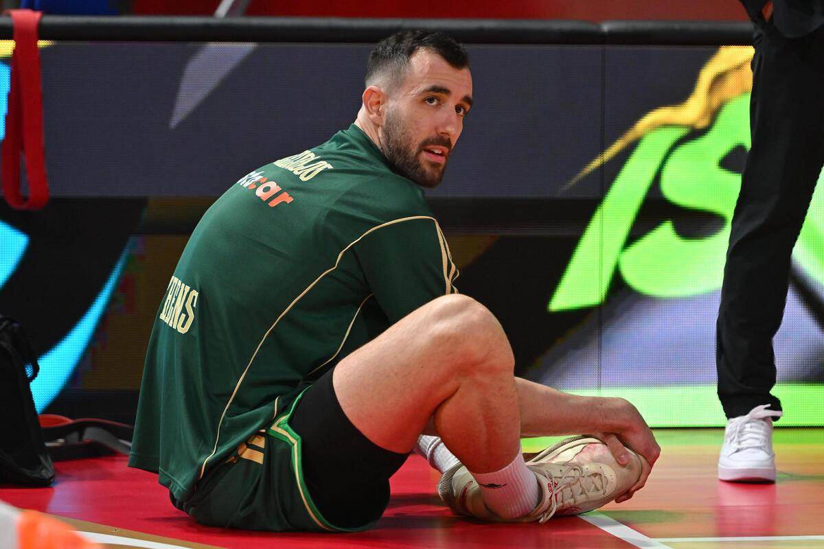 Crvena zvezda - Panatinaikos 14.JPG