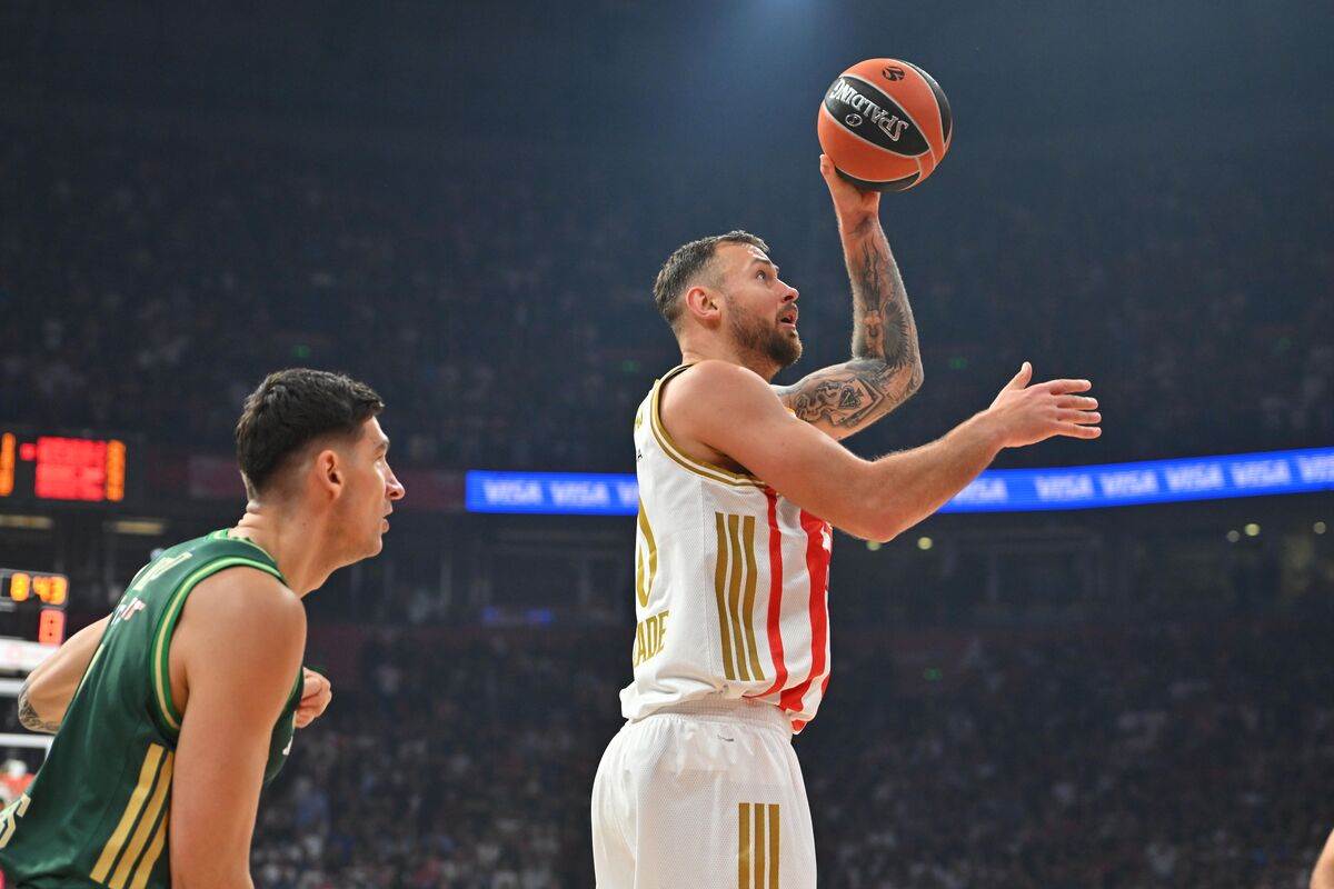 Crvena zvezda - Panatinaikos  3.JPG